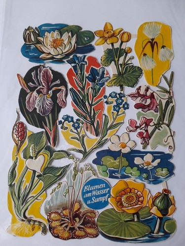 Ddr stammbuchbilder 1162 - -,