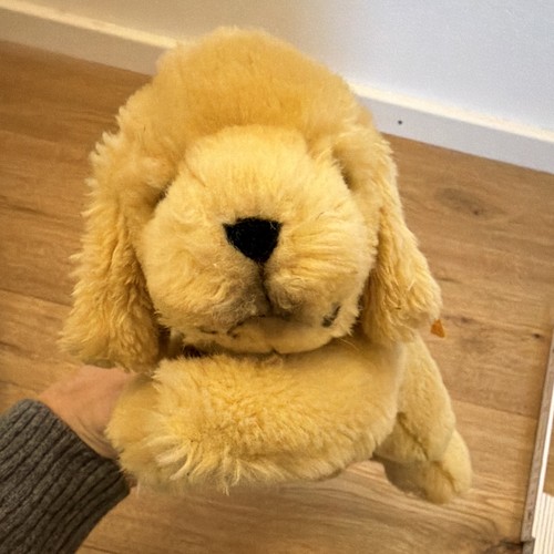 Steiff hund beige golden - steiff,