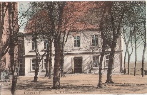 Tribsees königliche - tribsees,