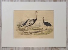 1852 Lithographie Kunstdruck