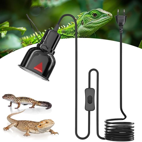 Reptilien terrarium - reptilien,