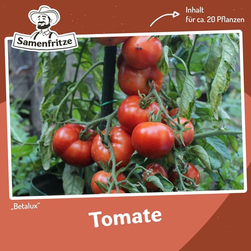 Tomatensamen betalux für - tomatensamen,