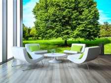 3D Grün Rasen Baum Q7397