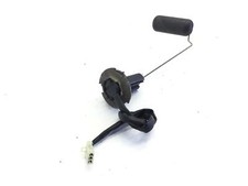 Floating Level Probe Petrol