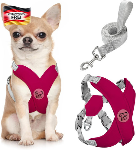 Hundegeschirr leine set - hundegeschirr,