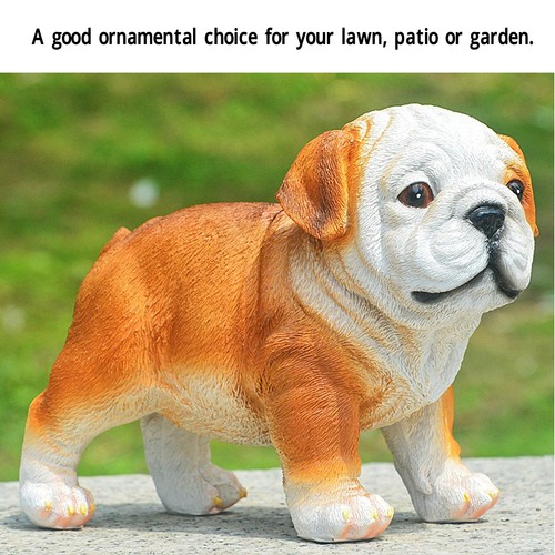 Englische bulldogge welpe - bulldogge,