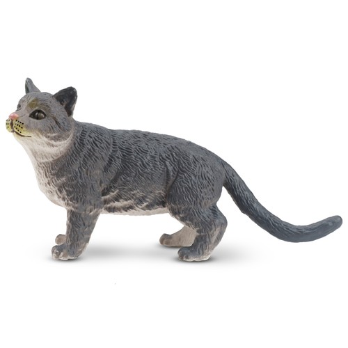 Toymany ml00169 russisch blau - russisch,