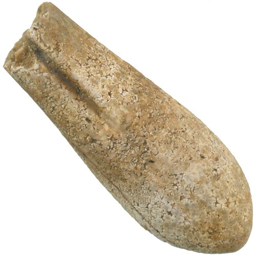 Kreide curtohoblites oosteri - kreide,