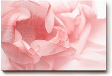 Sinus Art Wandbild Elegantes