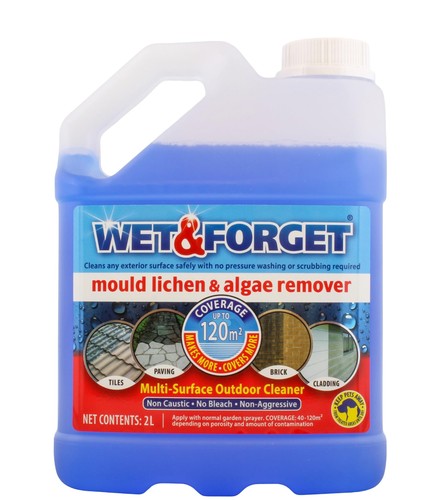 Wet forget schimmel flechten - &,