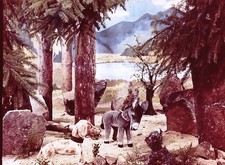 Stereomat 3D DDR  Dia Serie