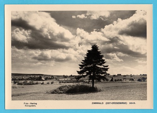 Zinnwald - , (um
