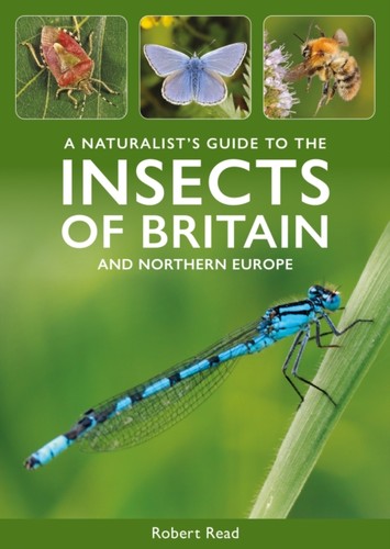 Insects great - of,