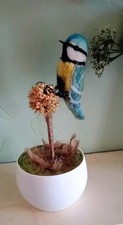 Nadelgefilzte Blaumeise thront