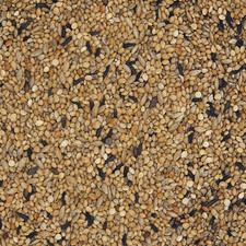 Versele Exoten Zucht Prestige