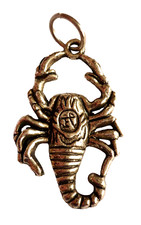 großer Skorpion Anhänger Tibet Silber Schmuck NEU