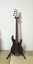 Seltene James Tyler USA