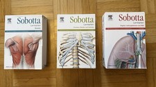 Sobotta lernkarten muskeln - lernkarten,,
