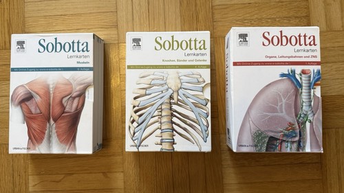 Sobotta lernkarten muskeln - sobotta,