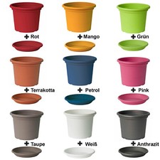 Blumentopf mit Untersetzer in