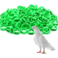 Vogel ringe - vogel,