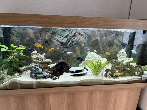 Juwel rio aquarium 450 - rio,
