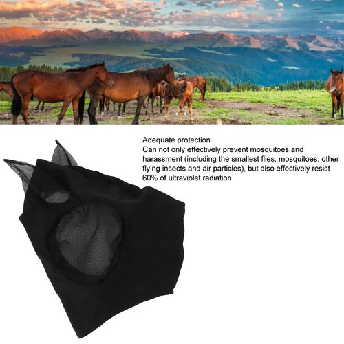 Schwarze fliegenmaske aus - schwarze,