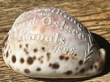 Muschel Souvenir Zur Einweihung des Nordostseekanal Juni 1895 Nord Ostsee Kanal