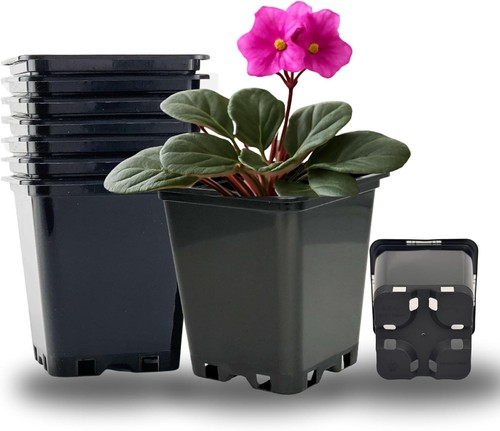 Viereckiger blumentopf mit - viereckiger,