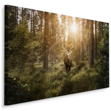 Leinwand Bild CANVAS WANDBILD