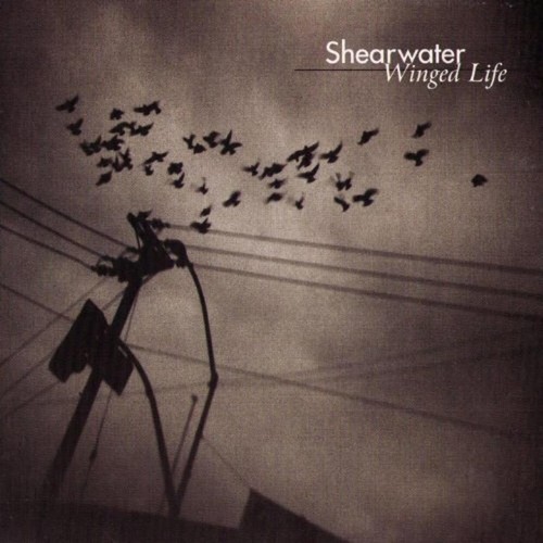 Shearwater winged life cd - shearwater,