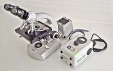 CARL ZEISS Mikroskop 47 09 14-9902 53 mit 4 Neofluar Objektiven