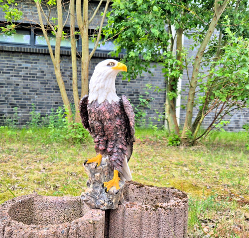Figur adler weißkopfseeadler - figur,