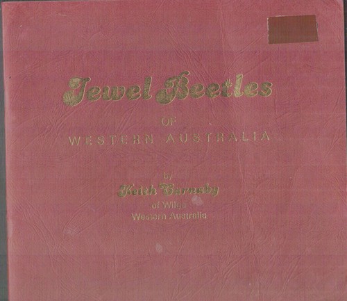 Jewel beetles western - beetles, of