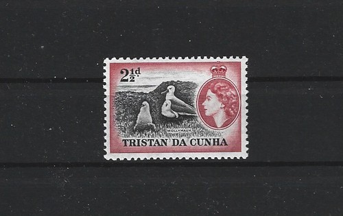 Tristan cunha vögel - tristan, 18