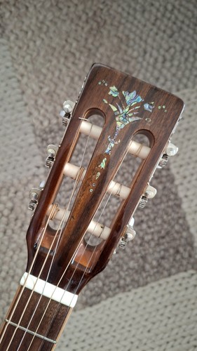 Gitarre guitar parlor - gitarre,