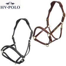 HV Polo Lederhalfter HVPLegacy