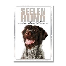 Deutsch Drahthaar Seelenhund