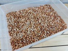 3 kg getrocknete Kirschkerne – ideal für Wärmekissen, Basteln, Deko