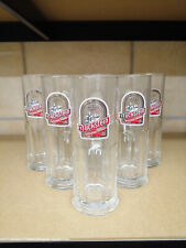 Duckstein 6x Krug 0,3 l Gastro