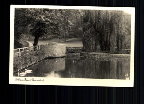 Northeim schwanenteich - northeim,