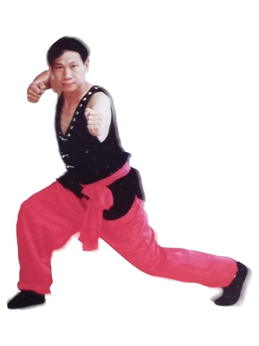 Nan shaolin quan kung fu - fu, hu