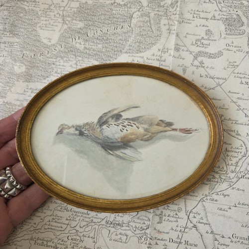 Aquarell gerahmt stillleben - gerahmt,