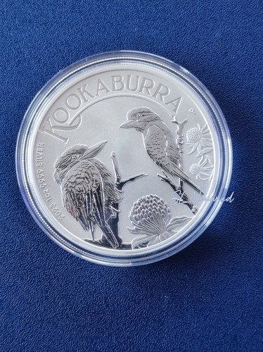 Kookaburra 2023 - 1, oz