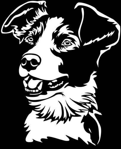 Border collie aufkleber - border,