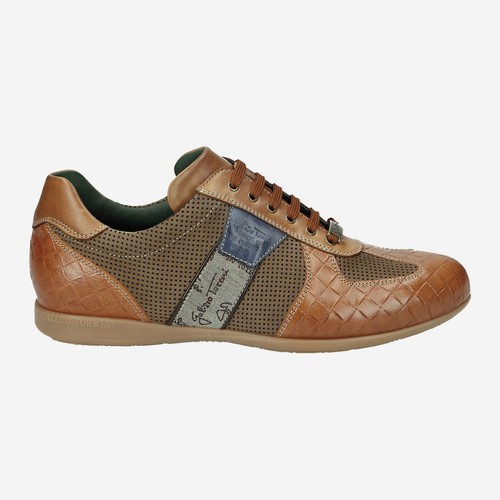 Galizio torresi 316080a - galizio,