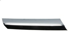 Radiator grille trim - radiator, /