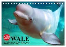 Wale. Kolosse der Meere