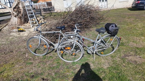 Kettler alu damen - kettler, herren