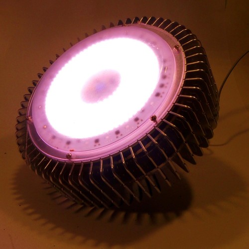 Profi lampe cob - cob, grow